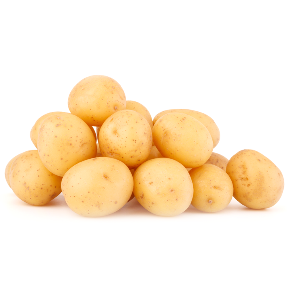 sante potato