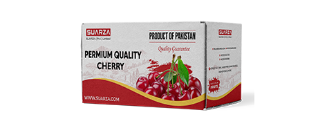 fresh cherry exporter